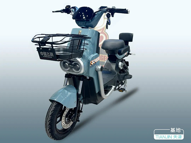 FLYING PIGEON-��ӥ