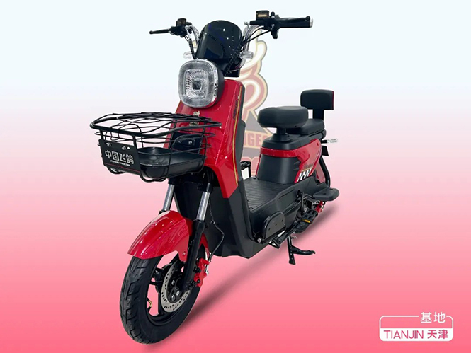 FLYING PIGEON-Զ��